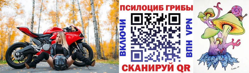 где купить наркоту  мега вход  Галлюциногенные грибы прущие грибы  Дудинка 
